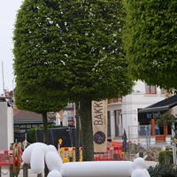 Photo de belgique - De Haan et Knokke, à choisir !